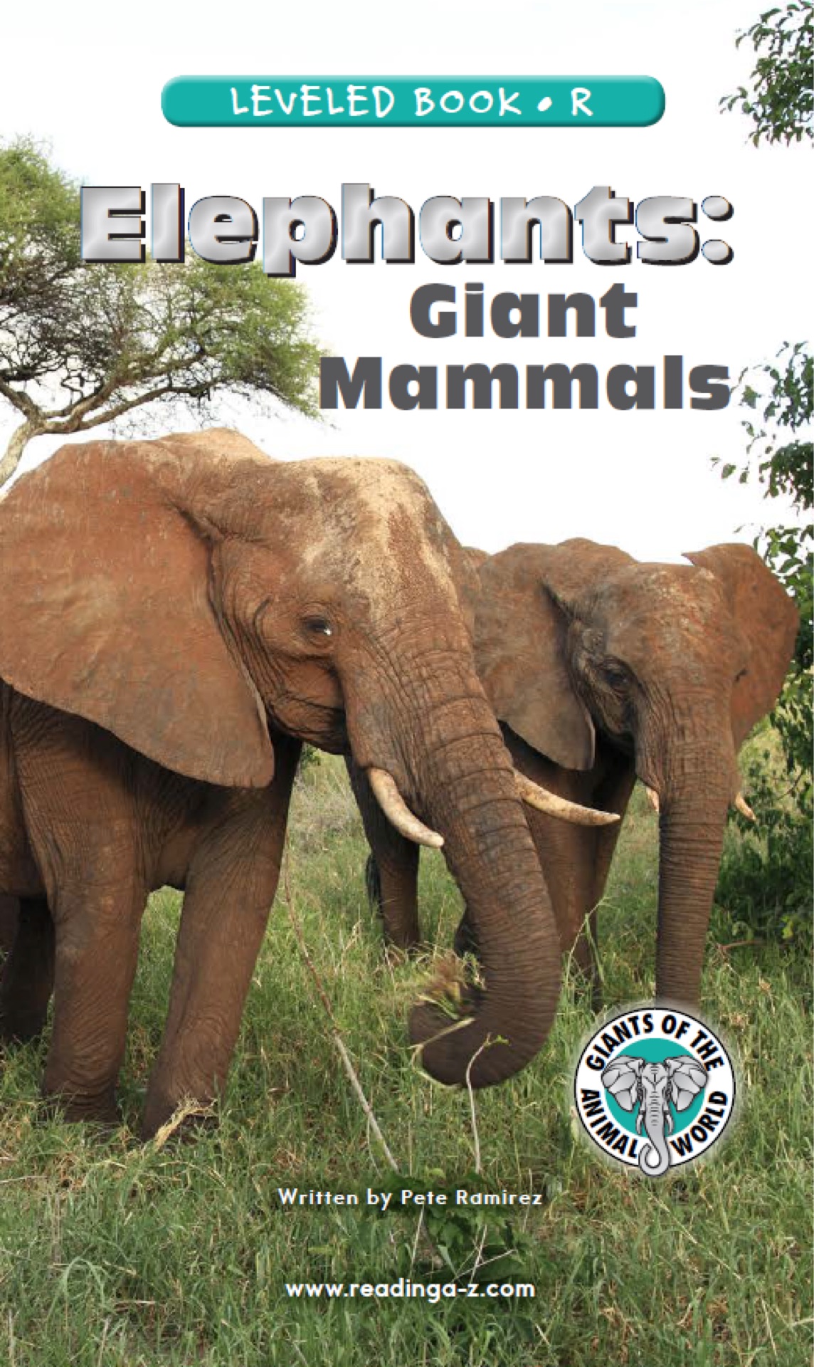 Elephants: Giant Mammals (RAZ R)