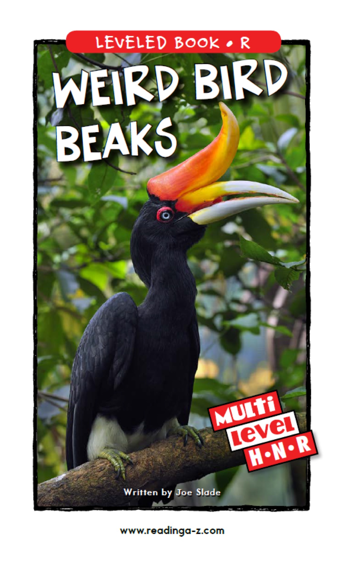 Weird Bird Beaks (RAZ R)