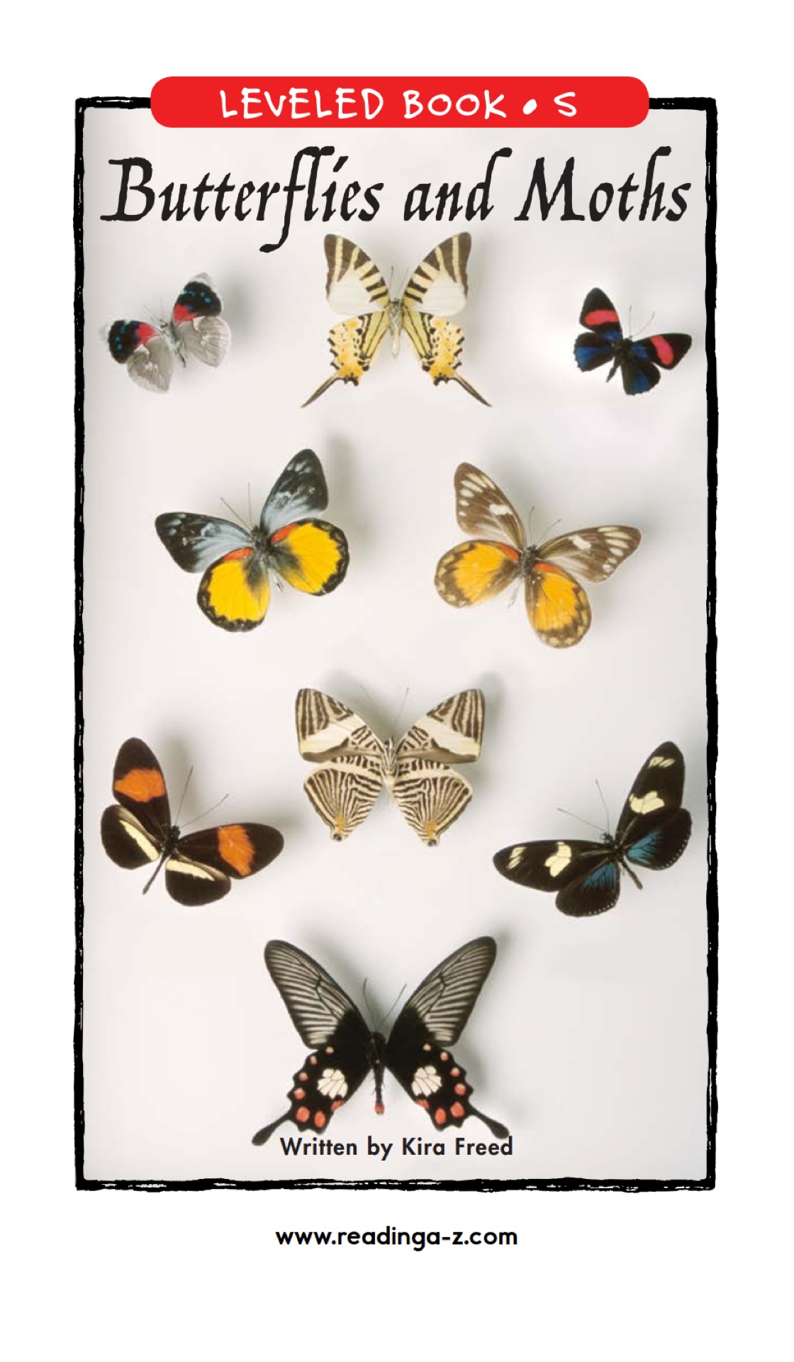 Butterflies and Moths (RAZ S)