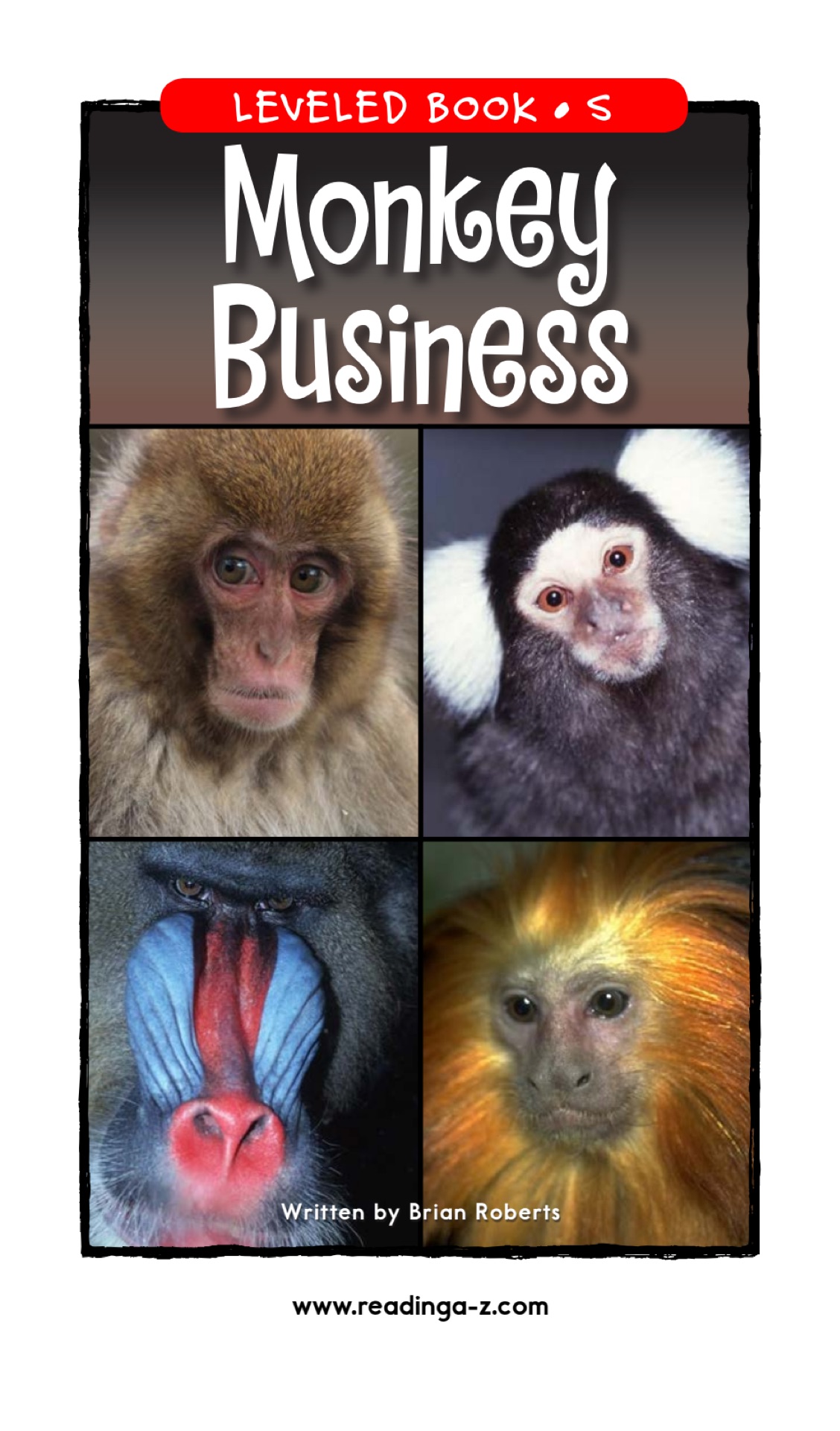 Monkey Business (RAZ S)