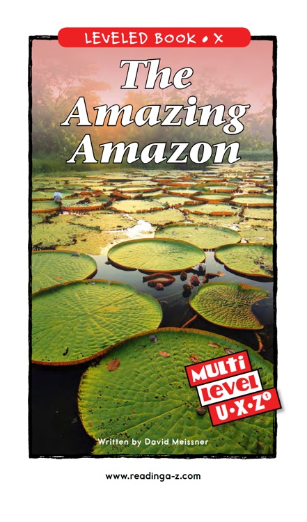 The Amazing Amazon