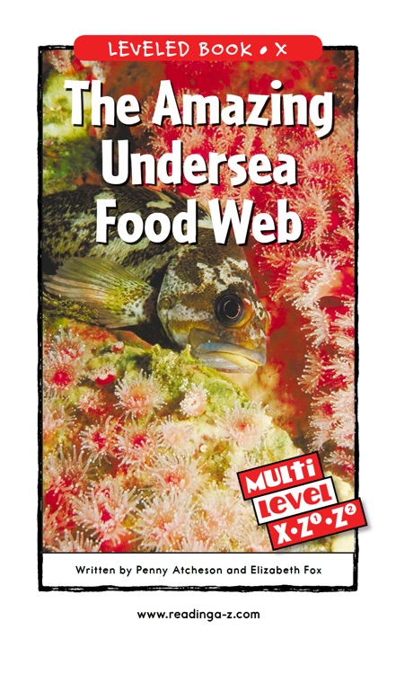 The Amazing Undersea Food Web(RAZ X)