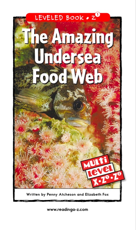 The Amazing Undersea Food-Web (RAZ Z2)