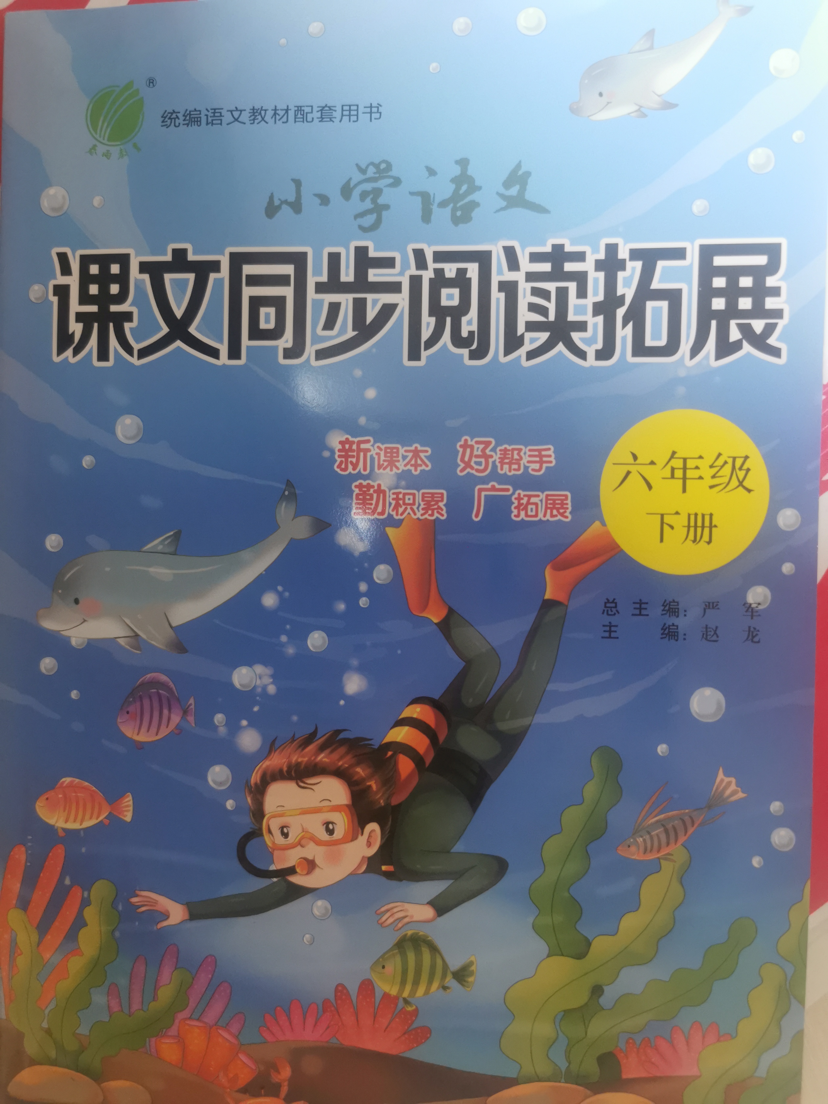 2021春雨教育小學語文課文同步閱讀拓展六年級下冊人教版部編版 小學6年級課本同步寫作階梯閱讀理