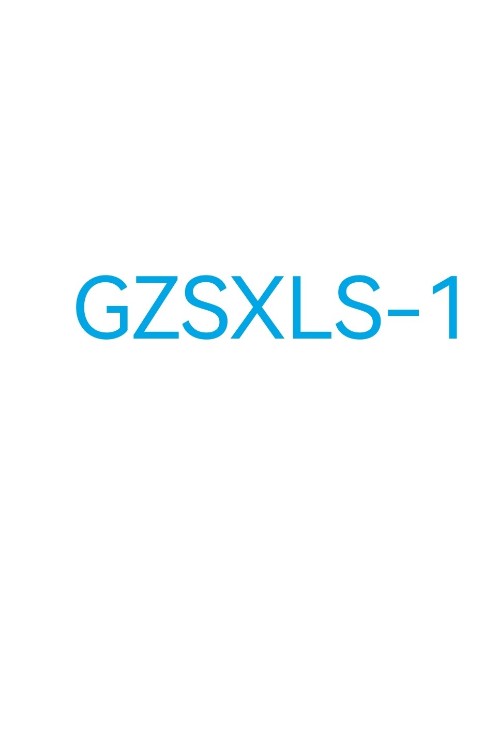 GZSXLS-1