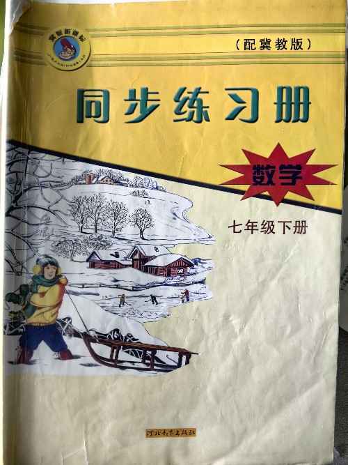 同步練習(xí)冊(cè) 數(shù)學(xué) 七年級(jí)下冊(cè) 冀教版