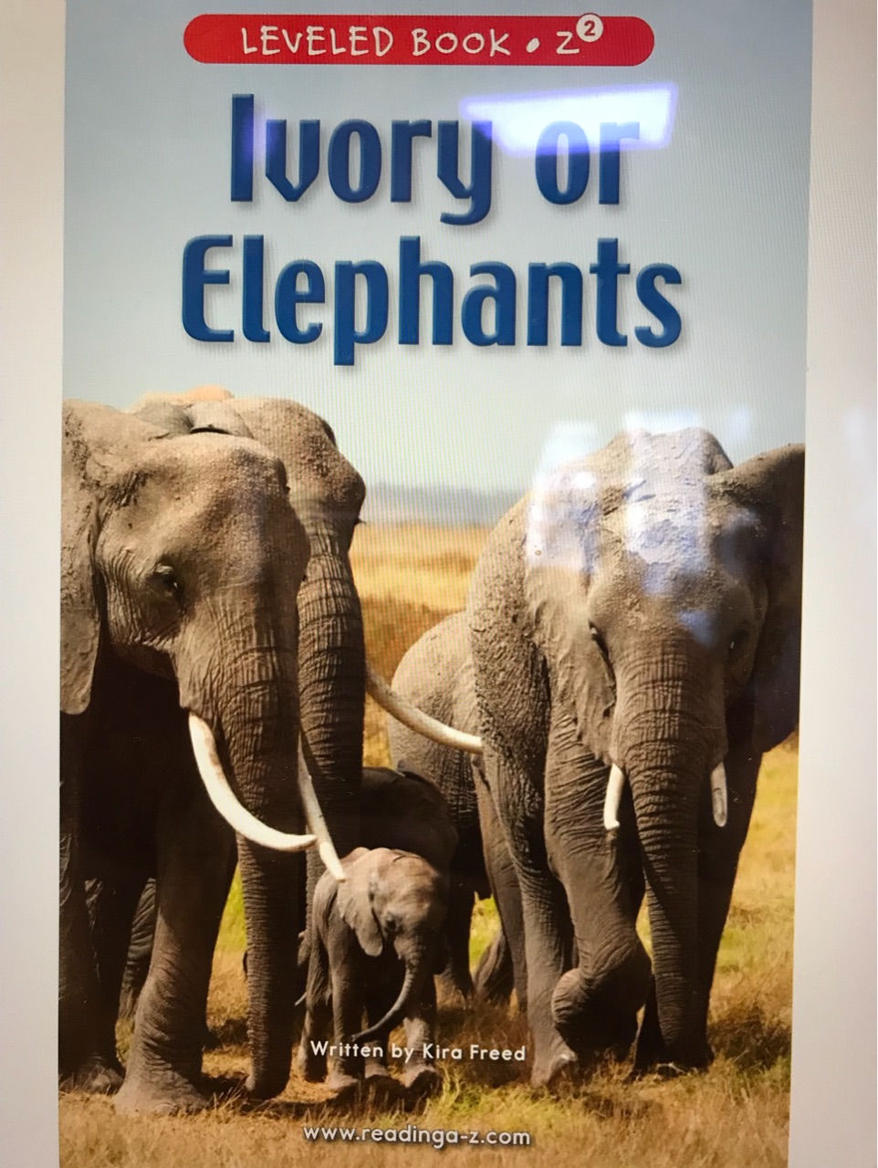 Ivory of Elephants