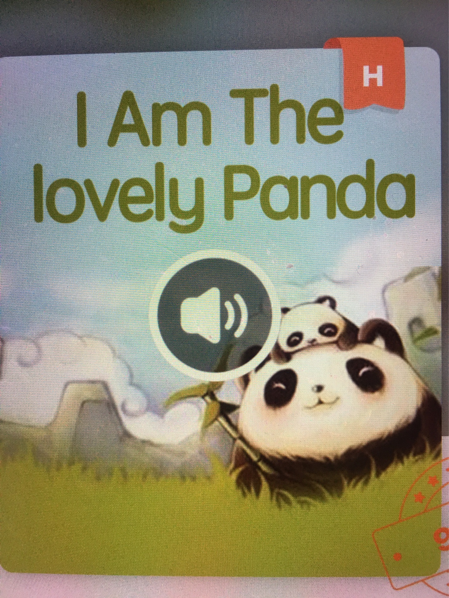 I am the lovely panda