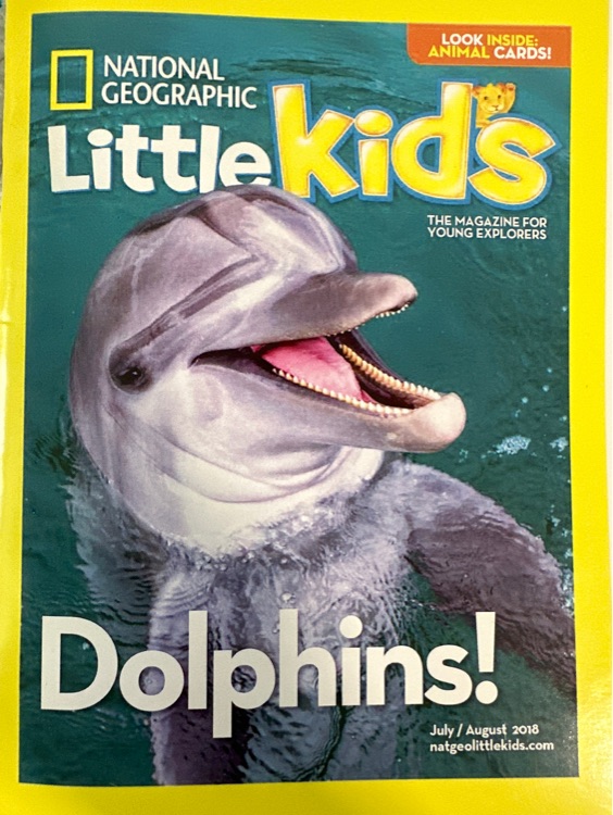 NG for little kids: Dolphins