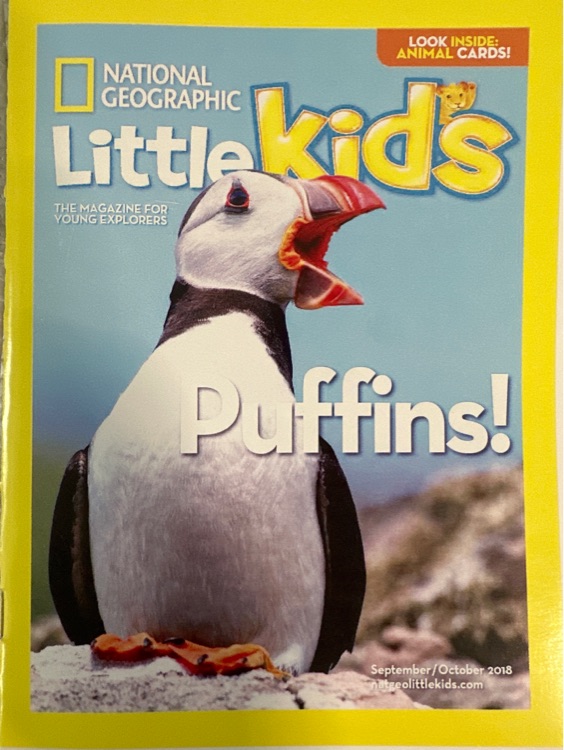 NG for little kids: Puffins