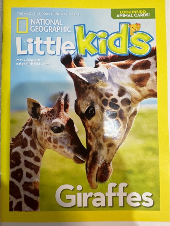 NG for little kids: Giraffes