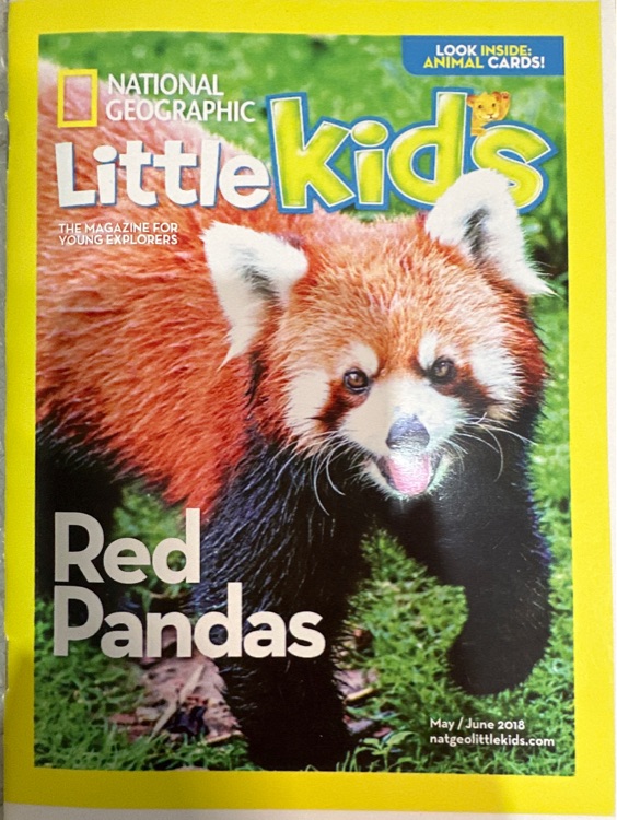 NG for little kids: Red pandas