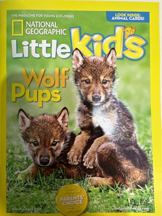 NG for little kids: Wolf pups