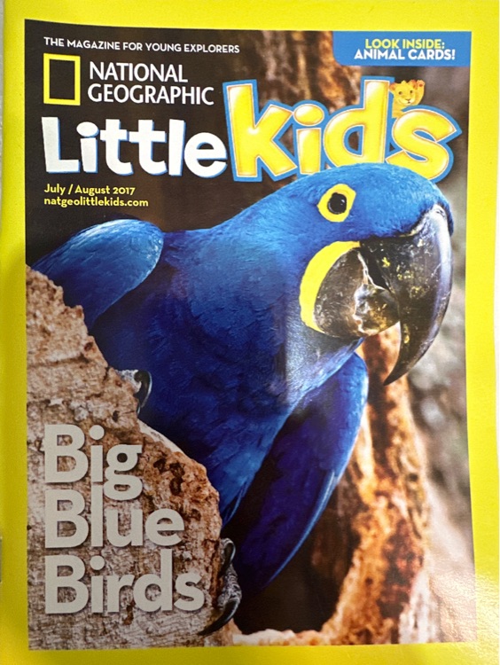 NG for little kids: Big blue birds