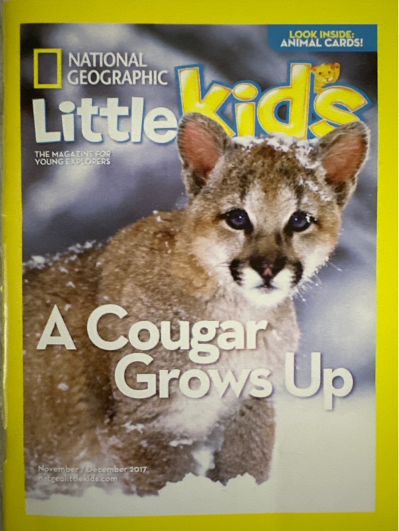 NG for little kids: A Cougar grows up