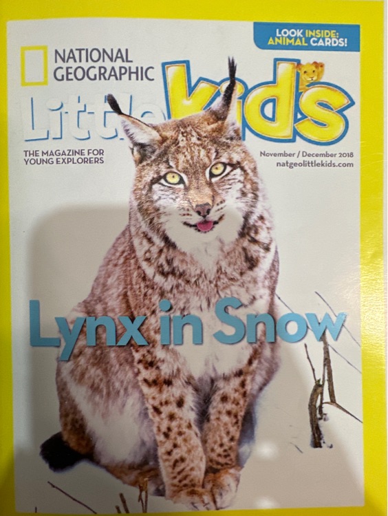 NG for little kids: Lynx in snow