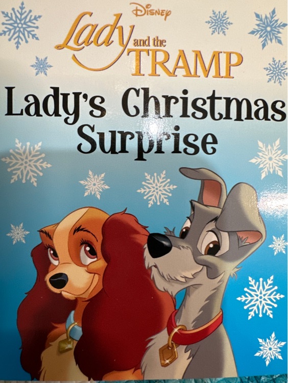 Lady's Christmas surprise