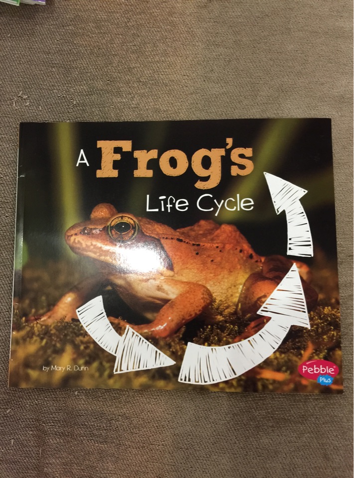 a frog's life cycle