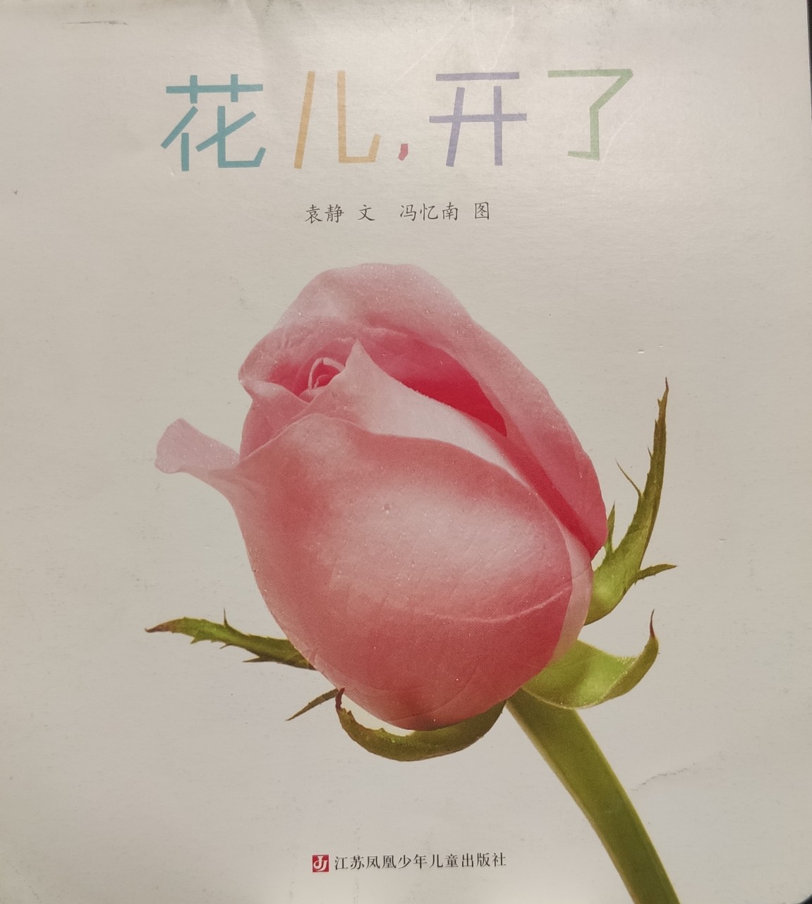 花兒, 開(kāi)了