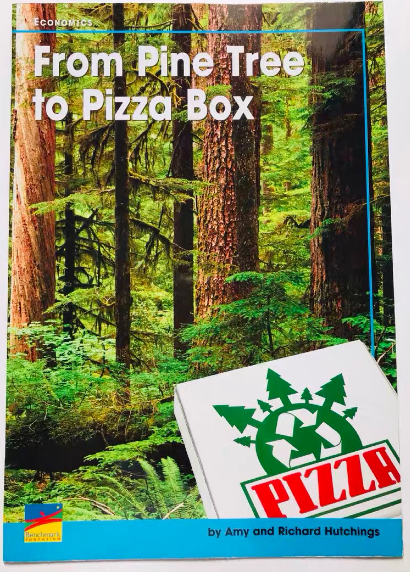 From pine tree to  pizza box