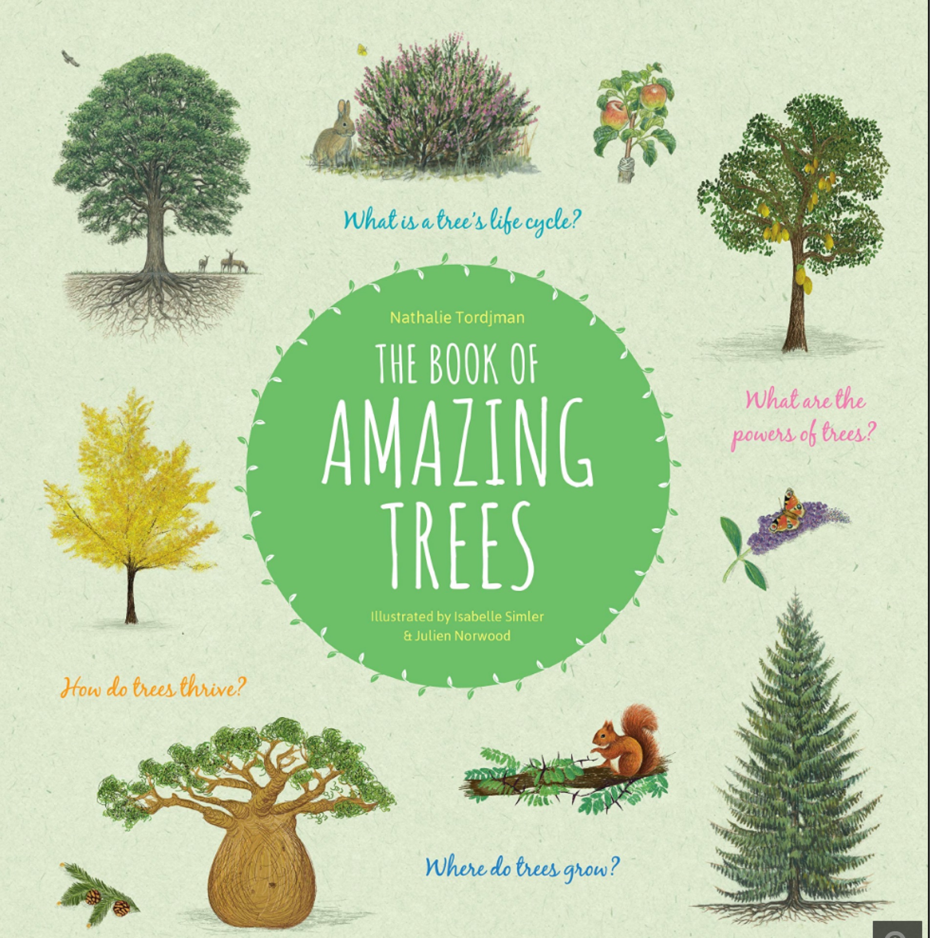 The book of amazing trees