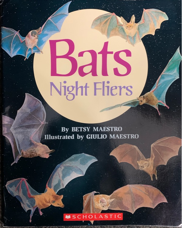 Bats: Night Fliers