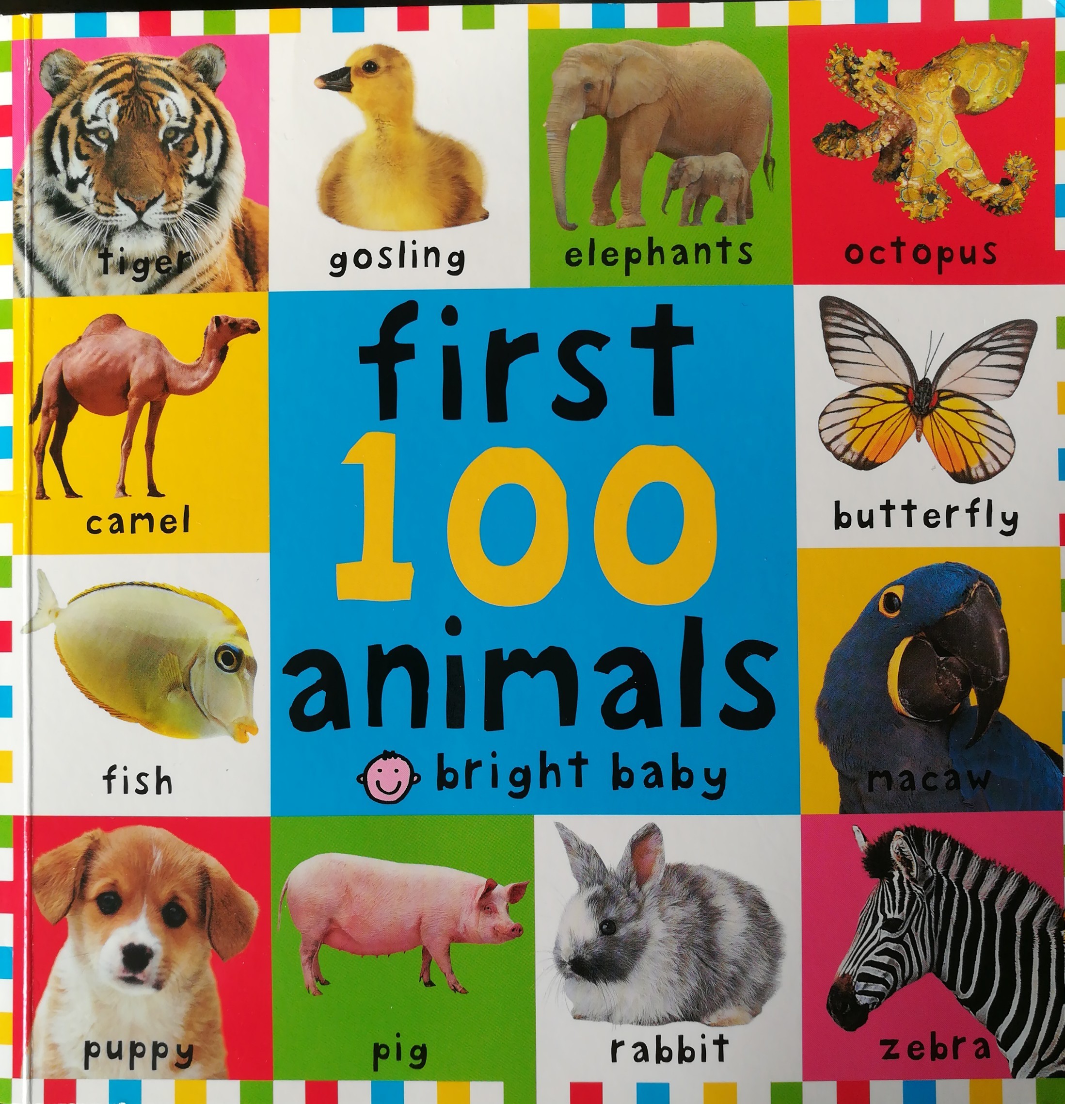 first 100 animals