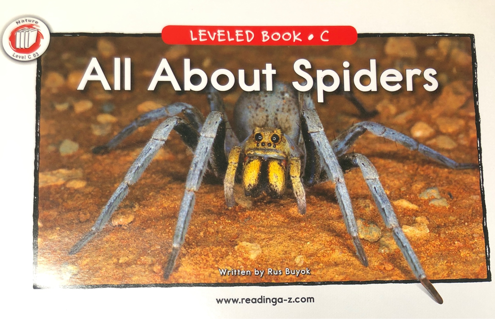 All about spiders