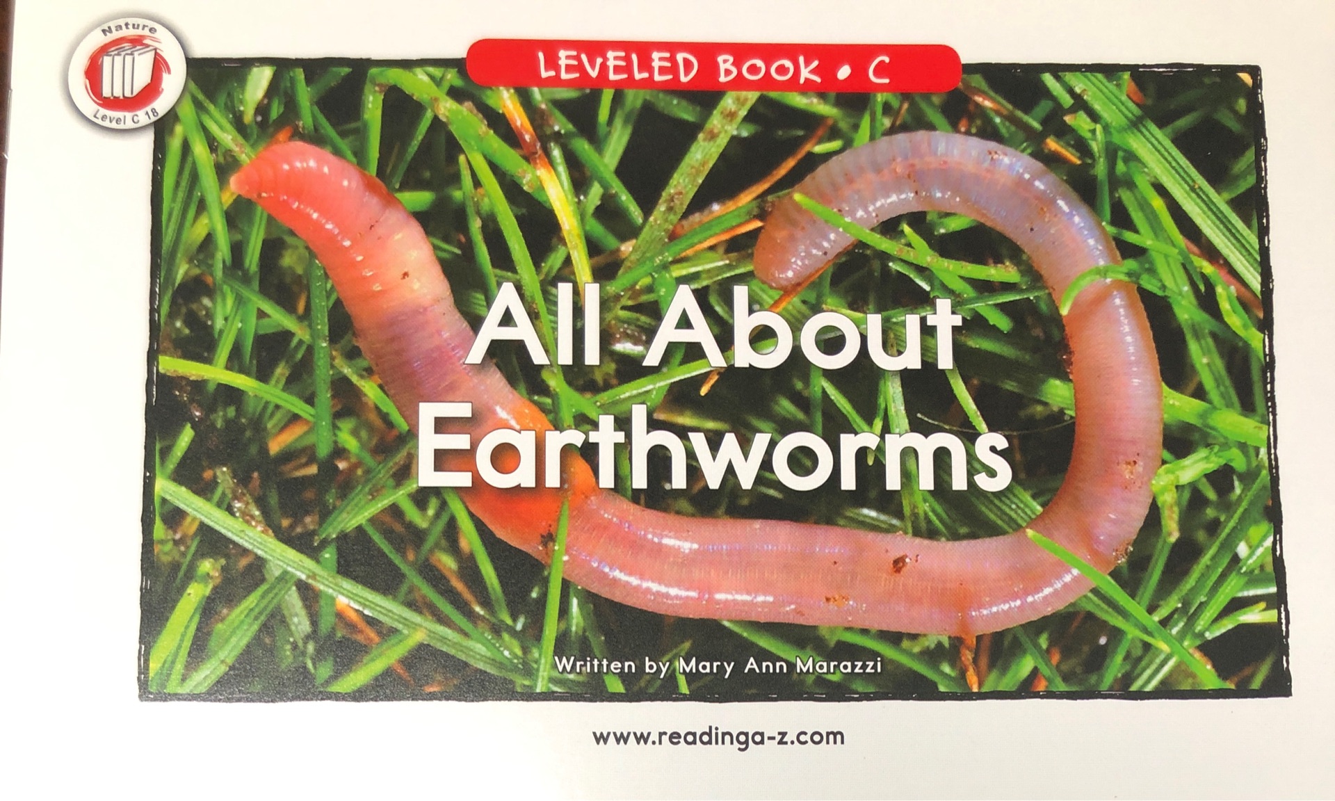 All about earthworms