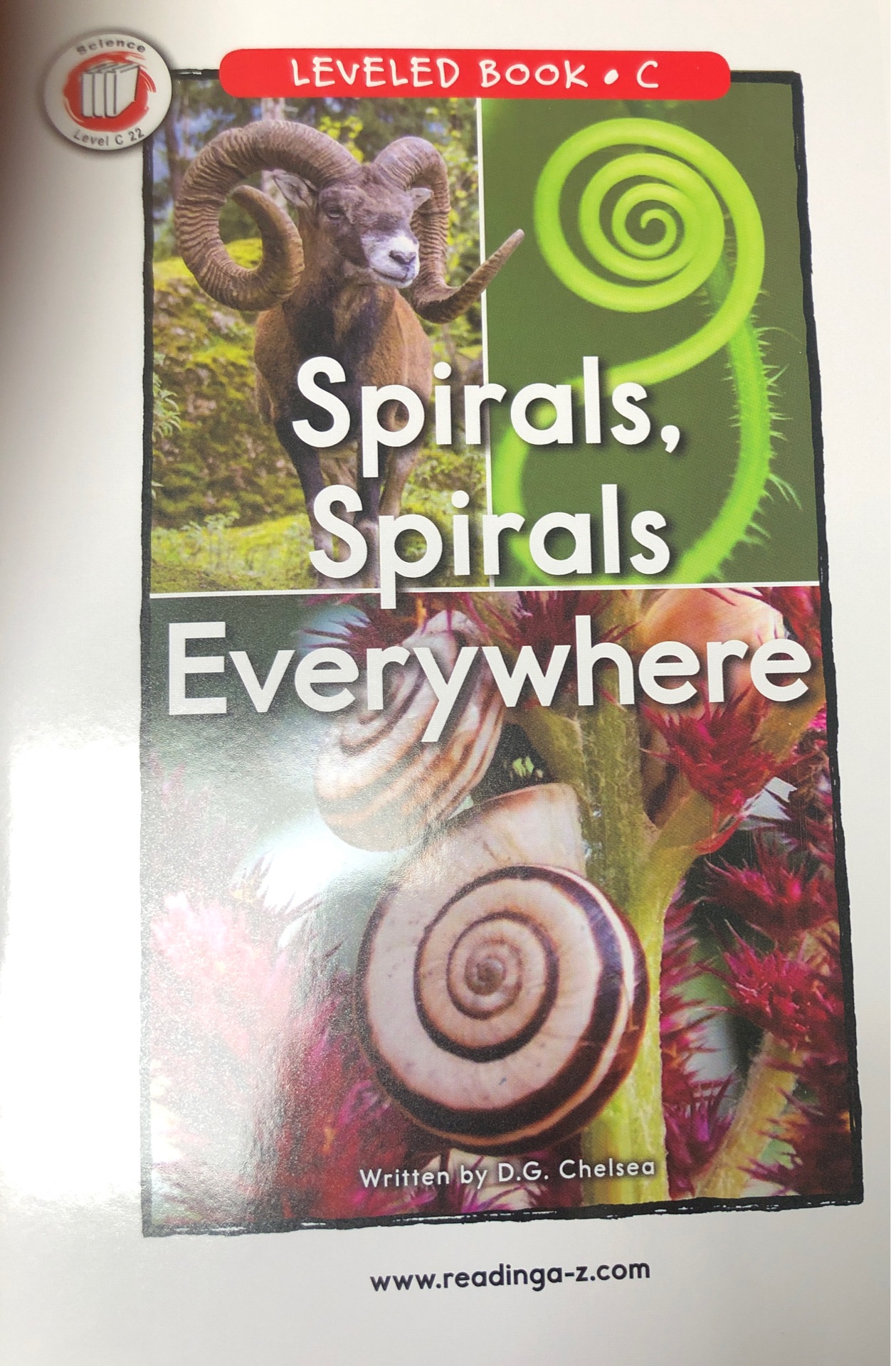 Spirals, spirals everywhere