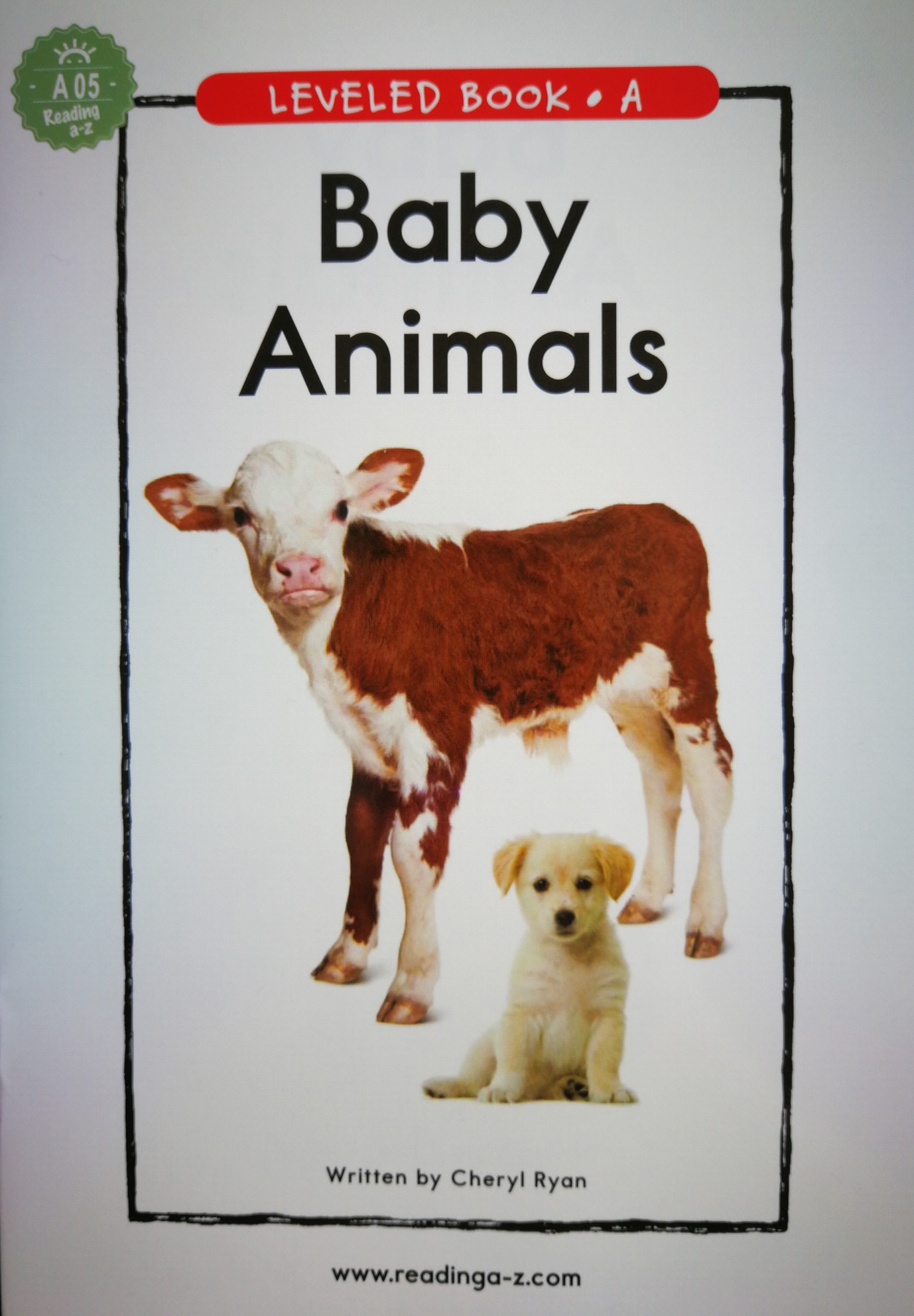 RAZ A—baby animals