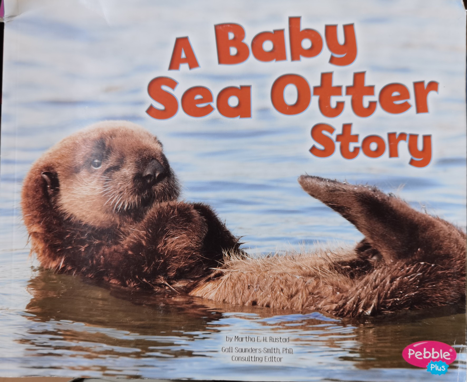 a baby sea ottor story