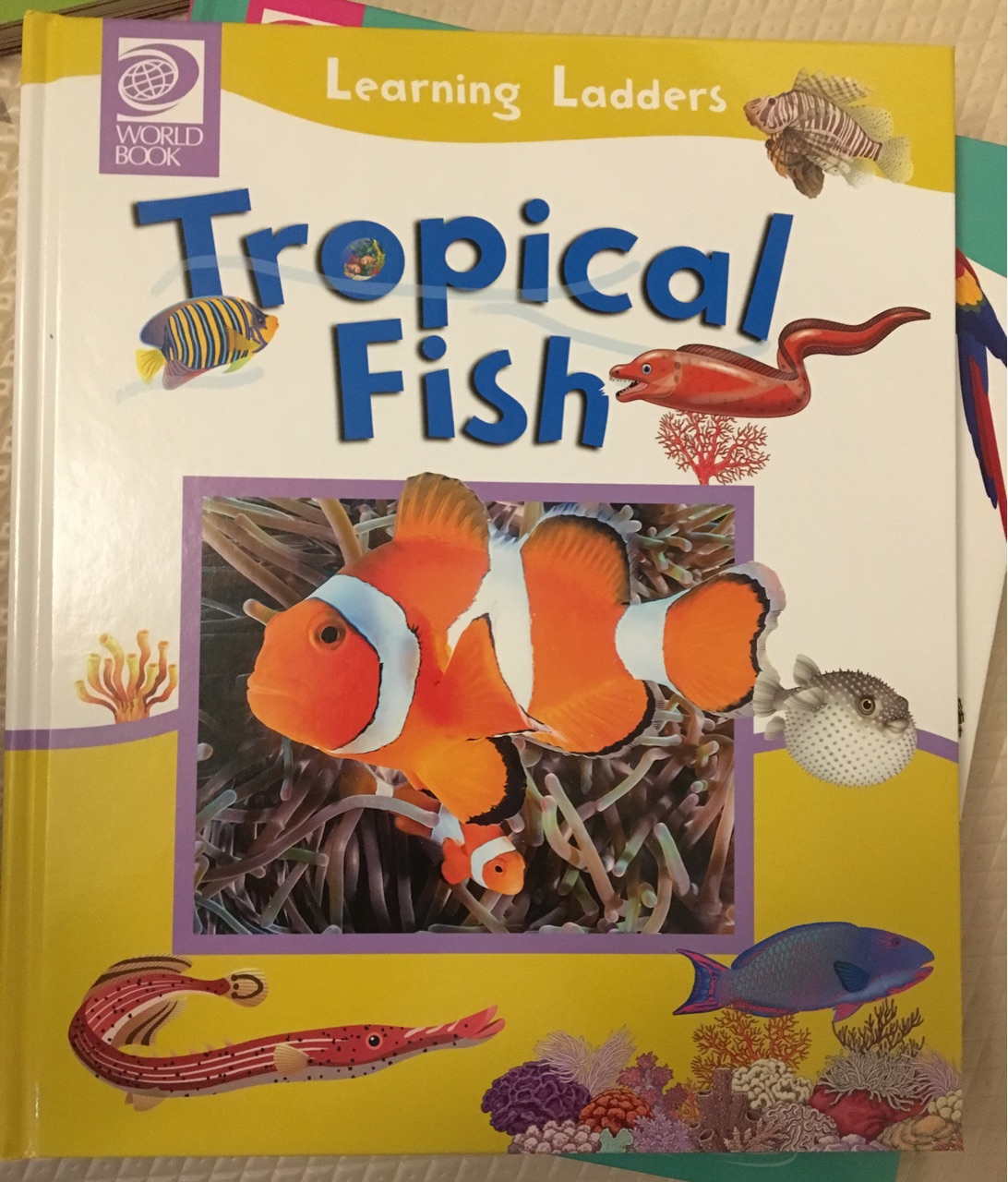 Tropical Fish