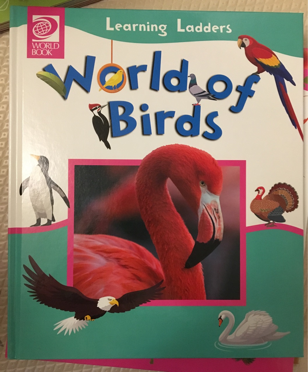 World of Birds