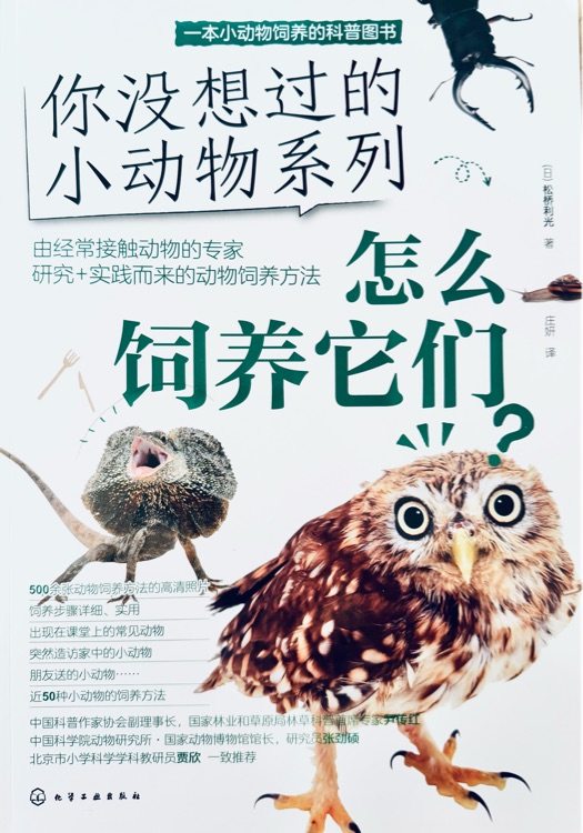 你没想过的小动物系列: 怎么饲养它们