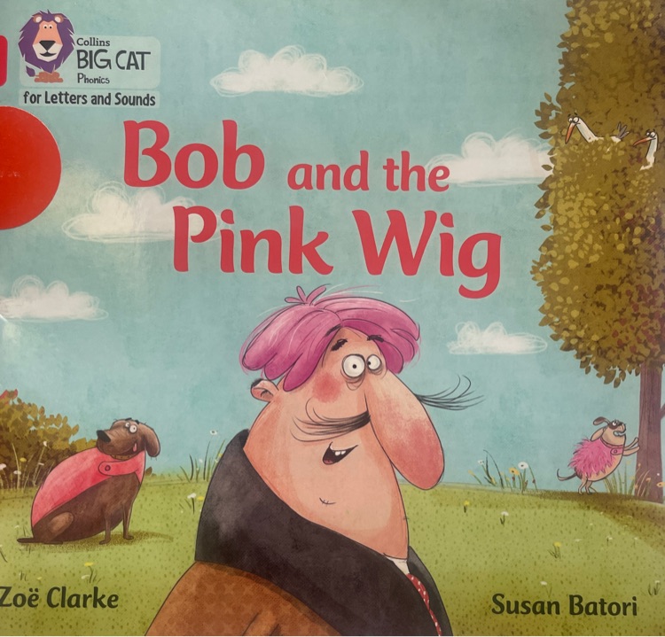 Bob and the Pink Wig