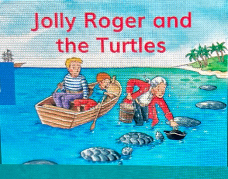 Jolly roger and the turtle