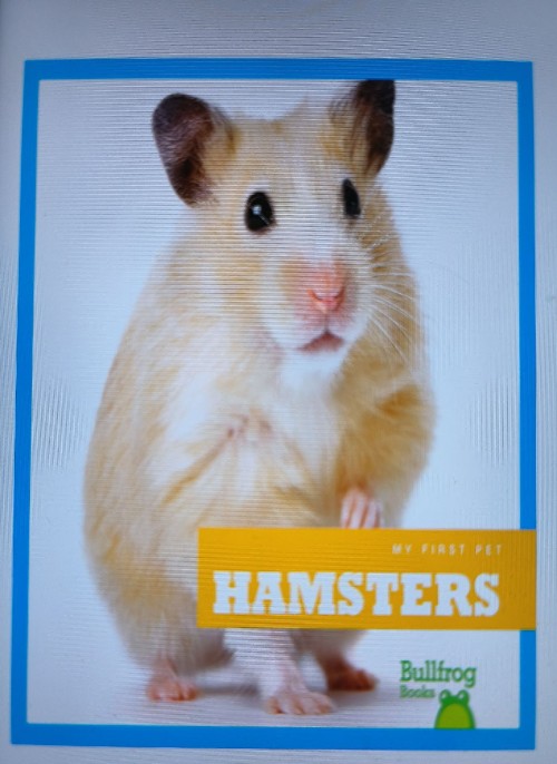 Hamsters