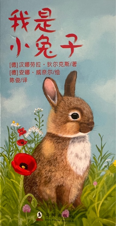 我是小兔子