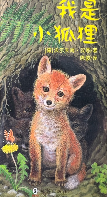 我是小狐貍