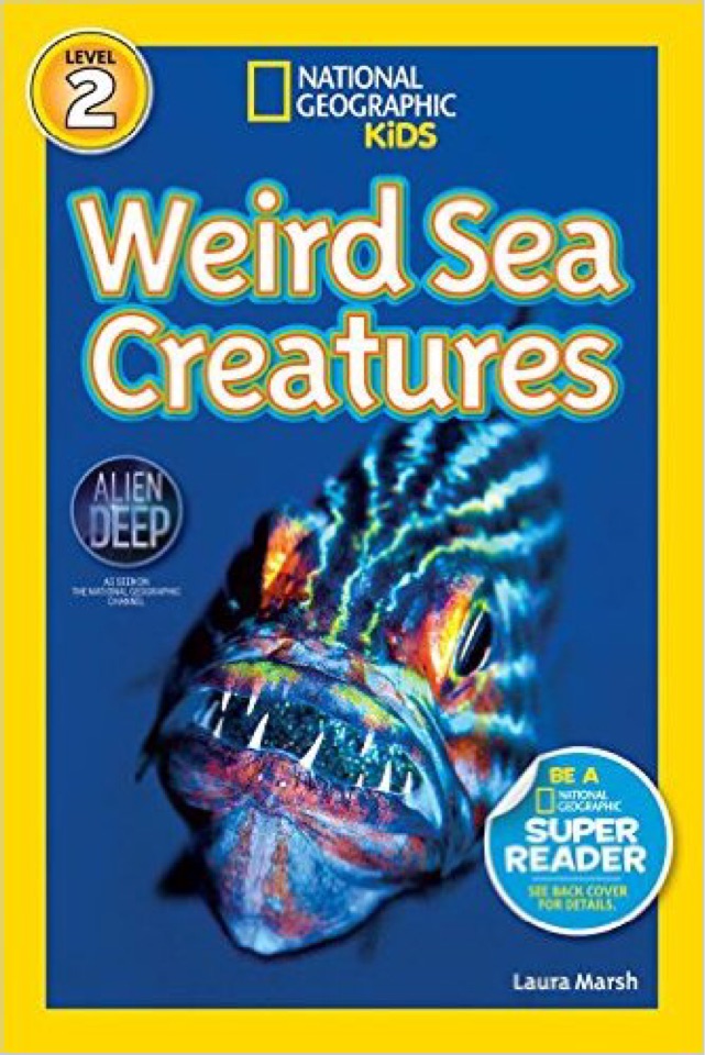 weird sea creatures national geographic kids