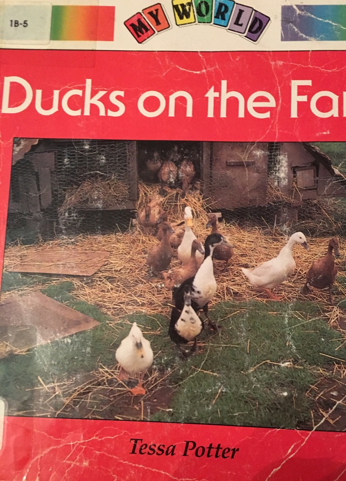 Ducks on the Farm