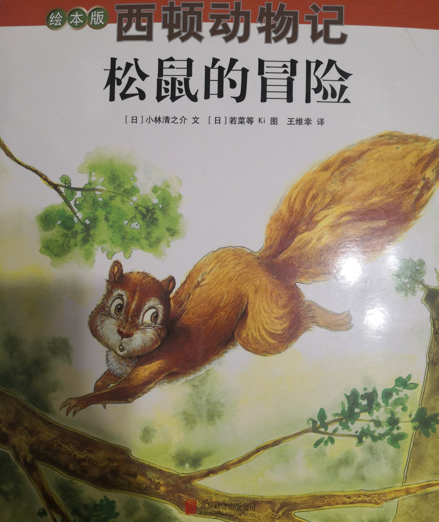 西頓動物記 松鼠的冒險