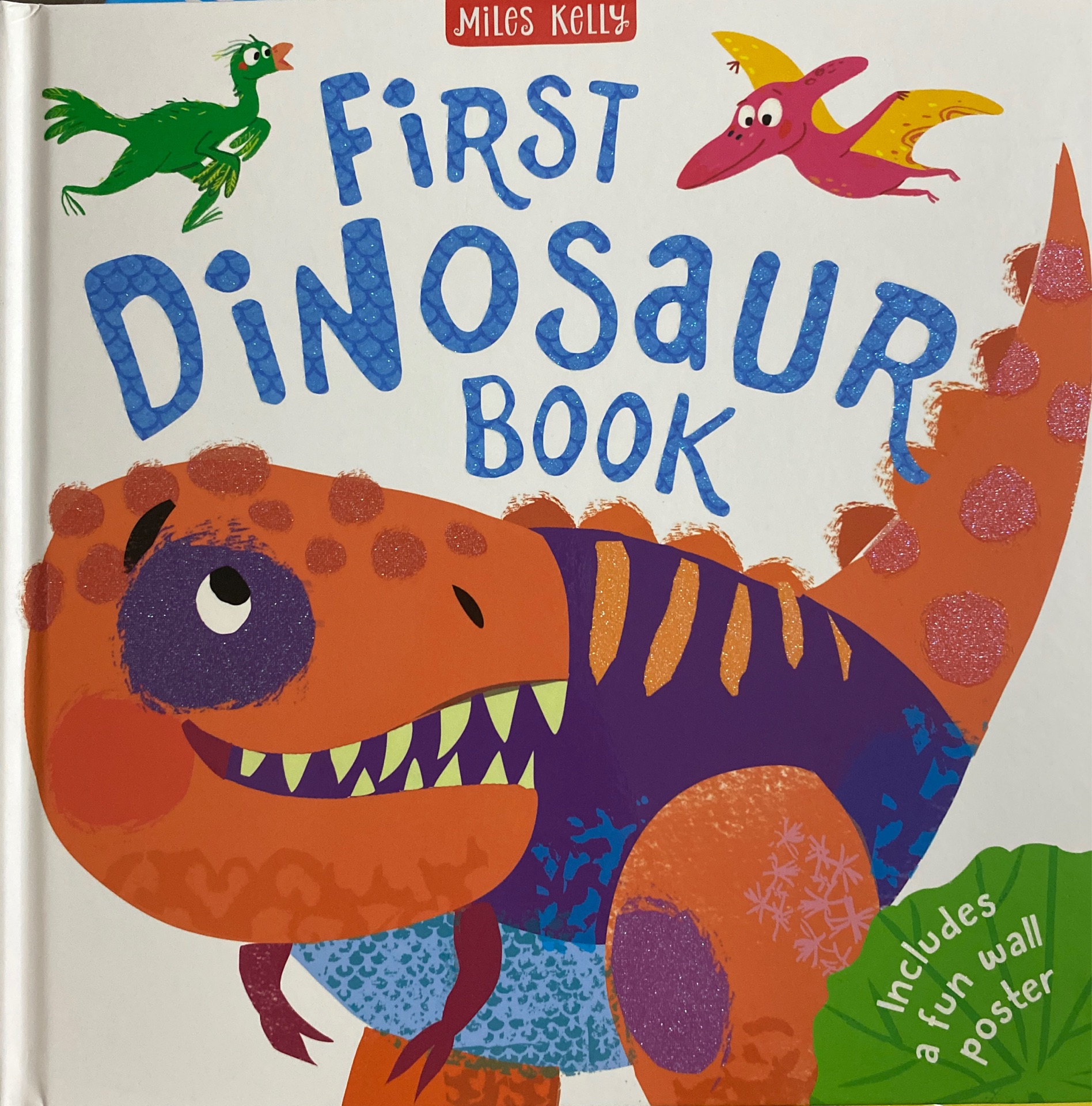 First Dinosaur Book