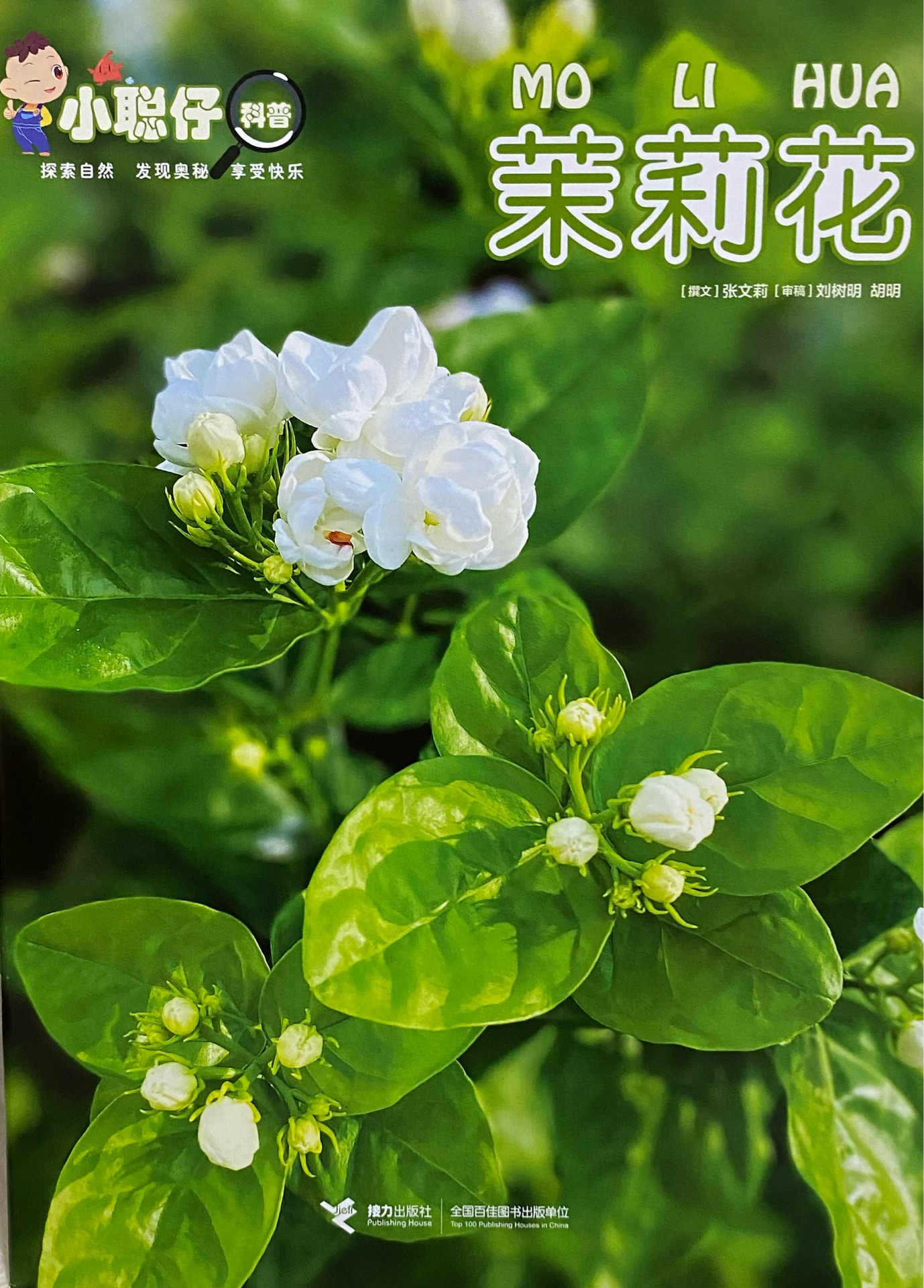 小聰仔科普版2020.10 茉莉花