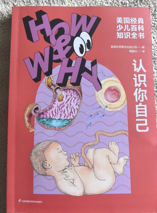 認(rèn)識(shí)你自己