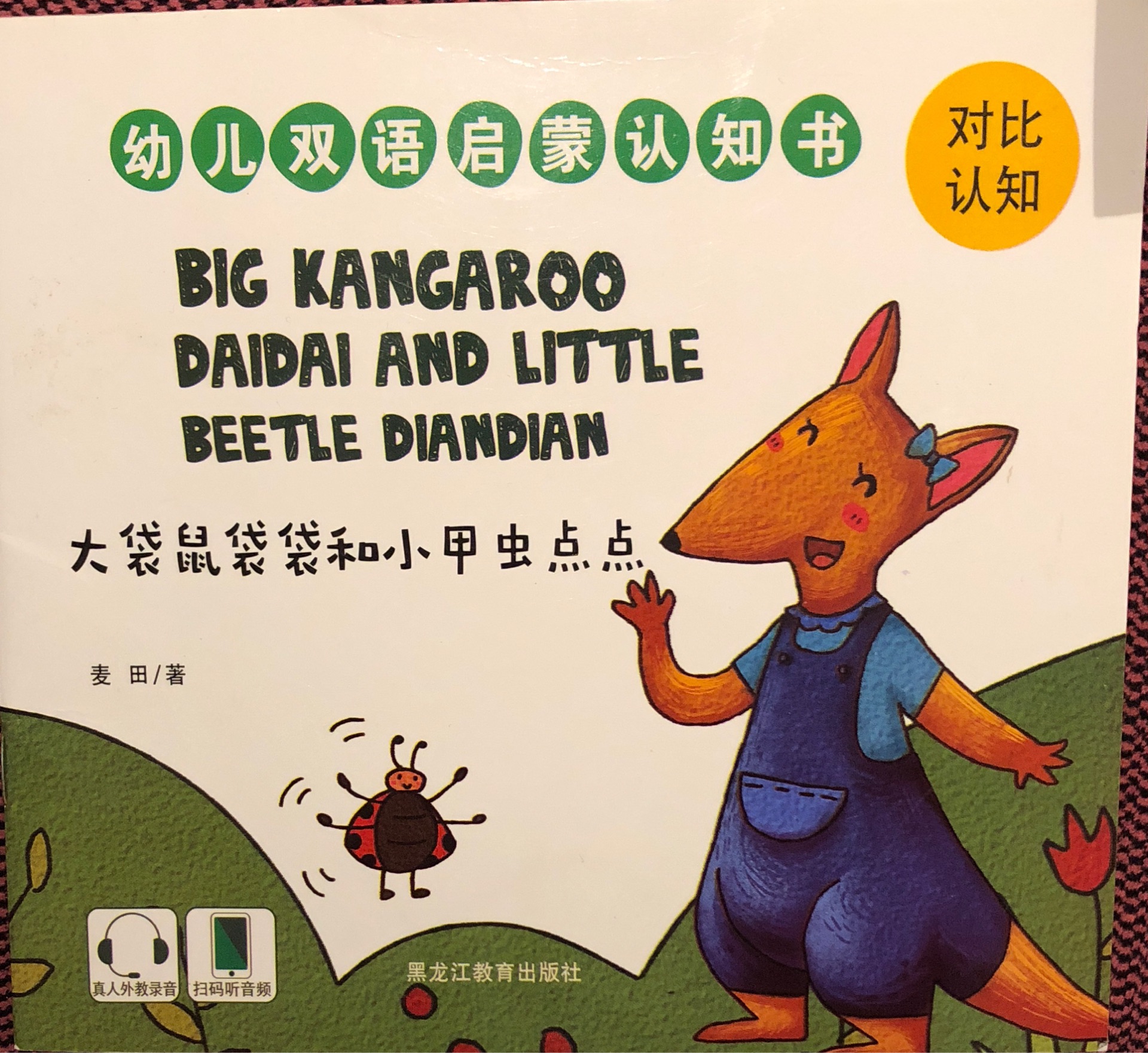 Big kangaroo daidai and little beetle diandian