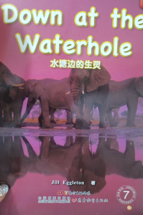 Down at the waterhole