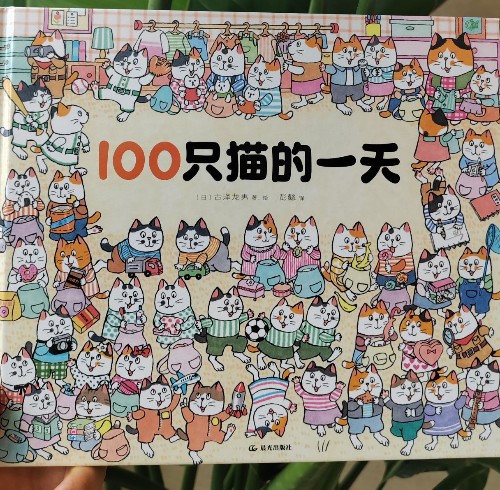 100只貓的一天