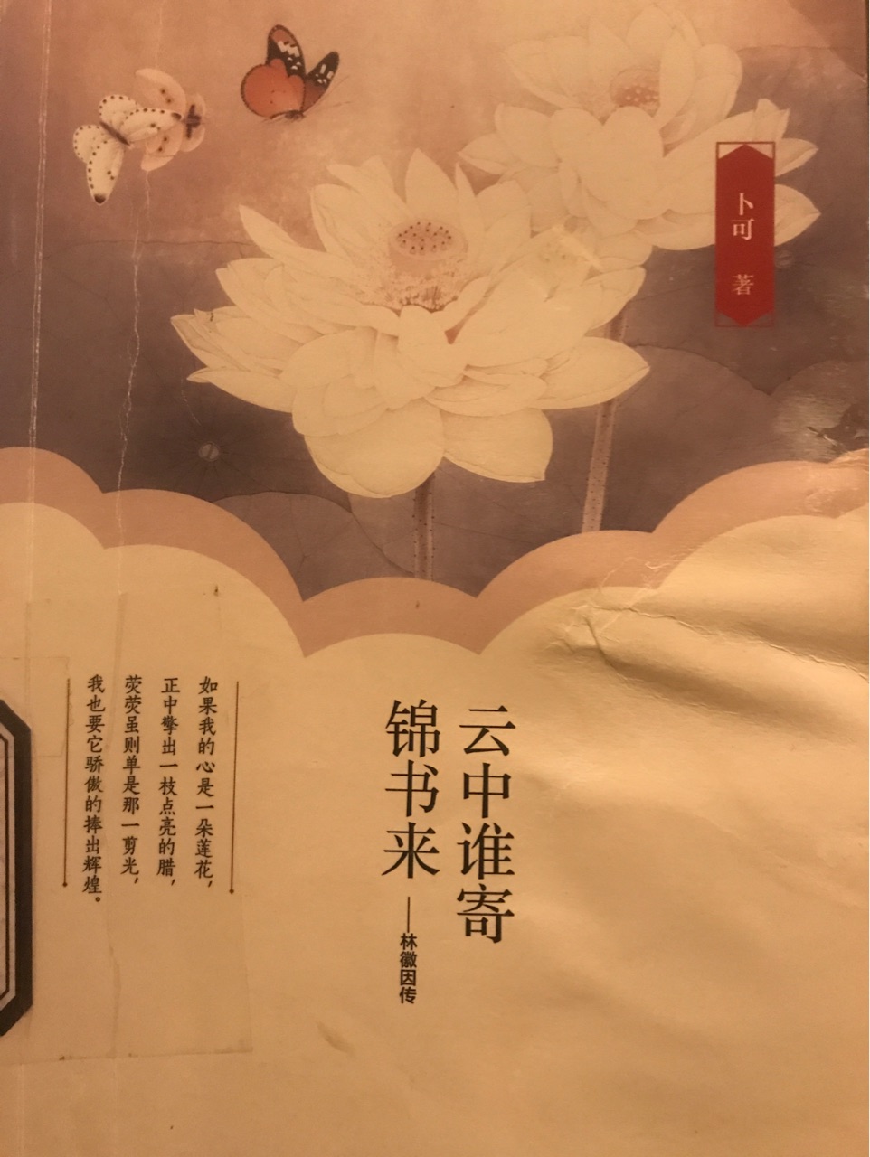 云中誰寄錦書來